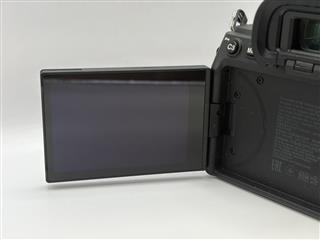 SONY Alpha 7 IV ILCE-7M4 Shutter Count 25994
